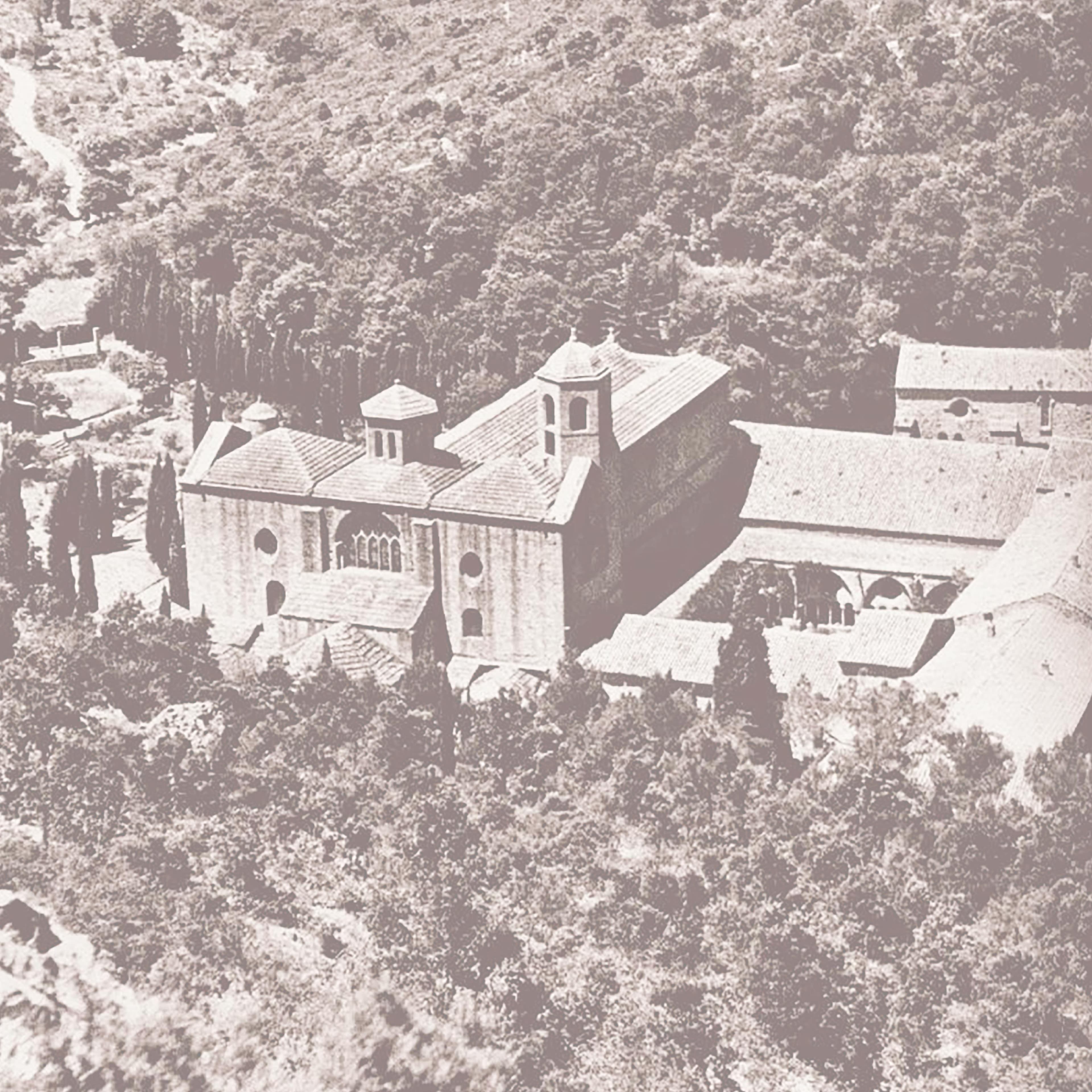 Gene consists of the botanical make
up of roots, seeds, flowers, wood,
and resin— conceived in the nostalgia
of today